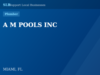 A M POOLS INC — Plumber in MIAMI, FL