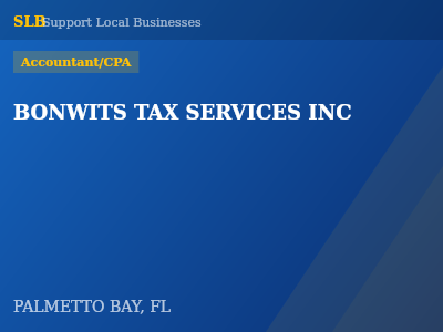 BONWITS TAX SERVICES INC — Accountant/CPA in PALMETTO BAY, FL