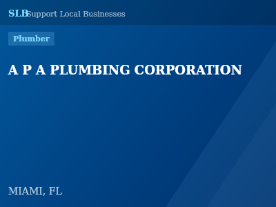 A P A PLUMBING CORPORATION — Plumber in MIAMI, FL