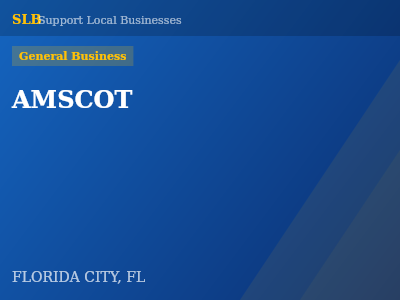 AMSCOT — General Business in FLORIDA CITY, FL