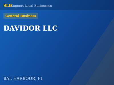 DAVIDOR LLC — General Business in BAL HARBOUR, FL