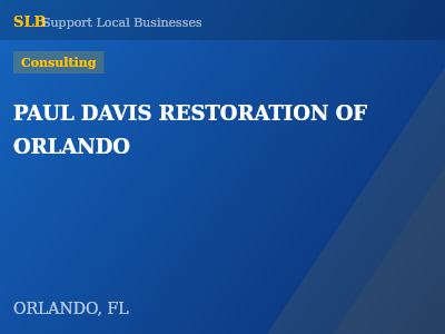 PAUL DAVIS RESTORATION OF ORLANDO — Consulting in ORLANDO, FL