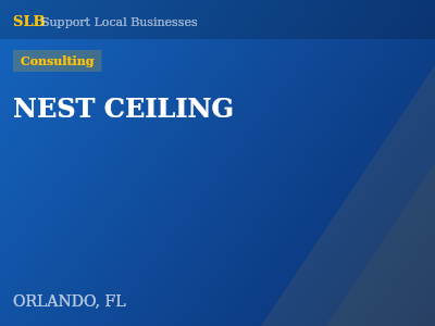 NEST CEILING — Consulting in ORLANDO, FL