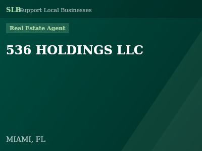 536 HOLDINGS LLC — Real Estate Agent in MIAMI, FL