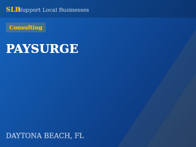PAYSURGE — Consulting in DAYTONA BEACH, FL