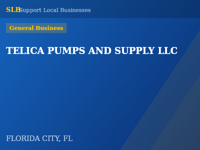 TELICA PUMPS AND SUPPLY LLC — General Business in FLORIDA CITY, FL