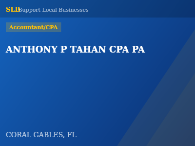 ANTHONY P TAHAN CPA PA — Accountant/CPA in CORAL GABLES, FL