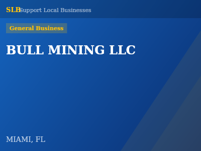 BULL MINING LLC — General Business in MIAMI, FL