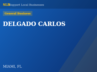 DELGADO CARLOS — General Business in MIAMI, FL