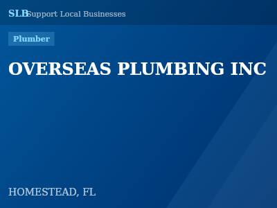 OVERSEAS PLUMBING INC — Plumber in HOMESTEAD, FL