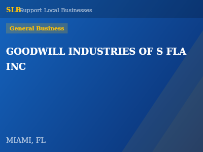 GOODWILL INDUSTRIES OF S FLA INC — General Business in MIAMI, FL