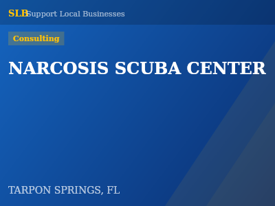 NARCOSIS SCUBA CENTER — Consulting in TARPON SPRINGS, FL