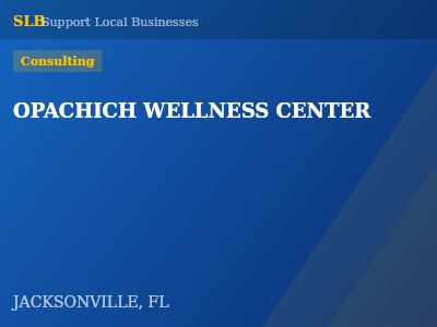 OPACHICH WELLNESS CENTER — Consulting in JACKSONVILLE, FL
