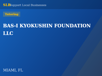 BAS-I KYOKUSHIN FOUNDATION LLC — Tutoring in MIAMI, FL