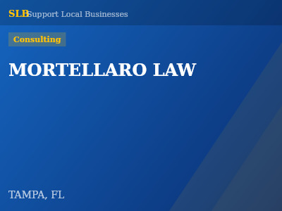 MORTELLARO LAW — Consulting in TAMPA, FL