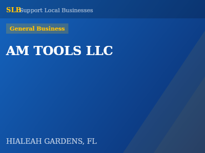 AM TOOLS LLC — General Business in HIALEAH GARDENS, FL