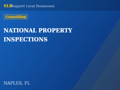 NATIONAL PROPERTY INSPECTIONS — Consulting in NAPLES, FL