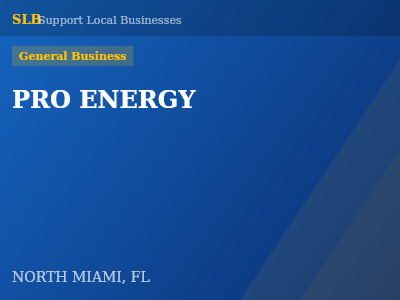 PRO ENERGY — General Business in NORTH MIAMI, FL