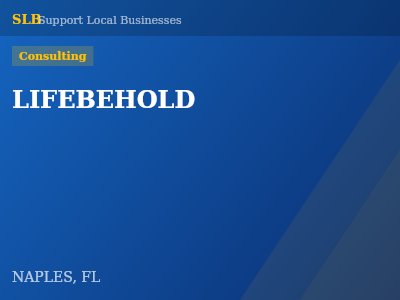 LIFEBEHOLD — Consulting in NAPLES, FL