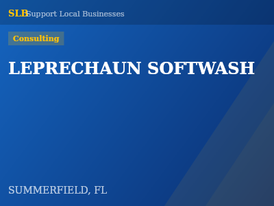 LEPRECHAUN SOFTWASH — Consulting in SUMMERFIELD, FL