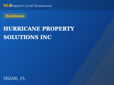 HURRICANE PROPERTY SOLUTIONS INC — Handyman in MIAMI, FL