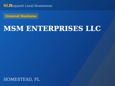 MSM ENTERPRISES LLC — General Business in HOMESTEAD, FL
