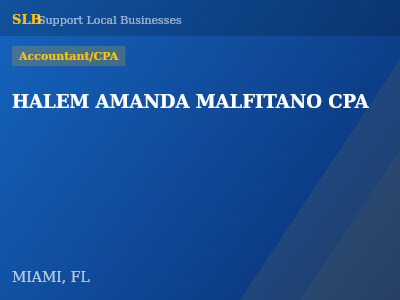 HALEM AMANDA MALFITANO CPA — Accountant/CPA in MIAMI, FL