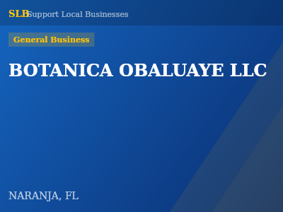 BOTANICA OBALUAYE LLC — General Business in NARANJA, FL