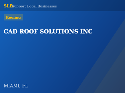 CAD ROOF SOLUTIONS INC — Roofing in MIAMI, FL