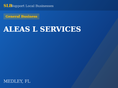 ALEAS L SERVICES — General Business in MEDLEY, FL