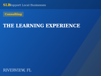 THE LEARNING EXPERIENCE — Consulting in RIVERVIEW, FL