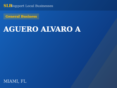 AGUERO ALVARO A — General Business in MIAMI, FL