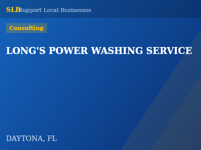 LONG'S POWER WASHING SERVICE — Consulting in DAYTONA, FL