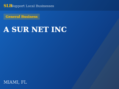 A SUR NET INC — General Business in MIAMI, FL