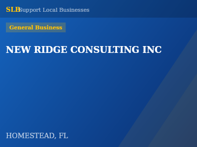 NEW RIDGE CONSULTING INC — General Business in HOMESTEAD, FL