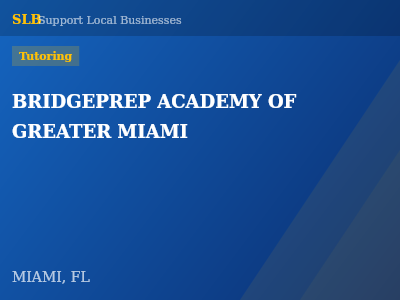 BRIDGEPREP ACADEMY OF GREATER MIAMI — Tutoring in MIAMI, FL