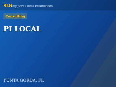 PI LOCAL — Consulting in PUNTA GORDA, FL