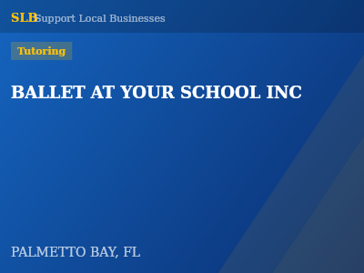 BALLET AT YOUR SCHOOL INC — Tutoring in PALMETTO BAY, FL