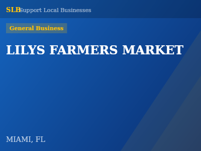LILYS FARMERS MARKET — General Business in MIAMI, FL