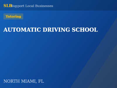 AUTOMATIC DRIVING SCHOOL — Tutoring in NORTH MIAMI, FL