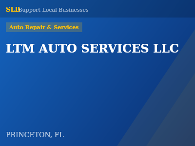 LTM AUTO SERVICES LLC — Auto Repair & Services in PRINCETON, FL