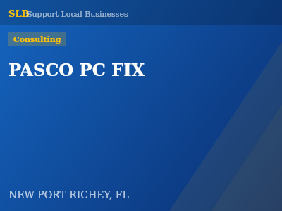 PASCO PC FIX — Consulting in NEW PORT RICHEY, FL