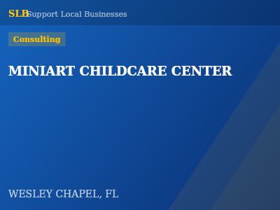 MINIART CHILDCARE CENTER — Consulting in WESLEY CHAPEL, FL