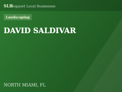 DAVID SALDIVAR — Landscaping in NORTH MIAMI, FL