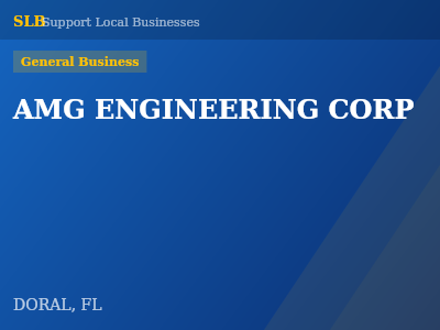 AMG ENGINEERING CORP — General Business in DORAL, FL