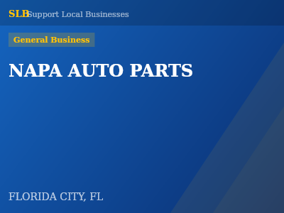 NAPA AUTO PARTS — General Business in FLORIDA CITY, FL