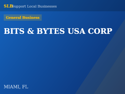 BITS & BYTES USA CORP — General Business in MIAMI, FL