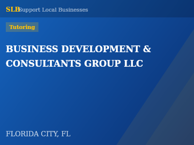 BUSINESS DEVELOPMENT & CONSULTANTS GROUP LLC — Tutoring in FLORIDA CITY, FL