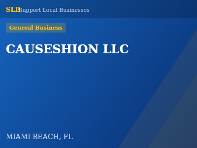 CAUSESHION LLC — General Business in MIAMI BEACH, FL