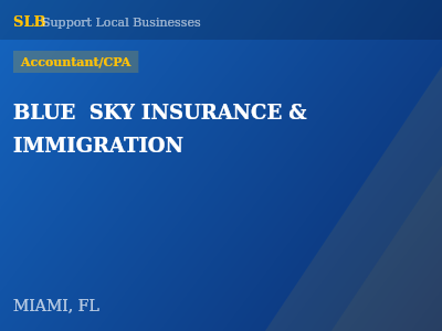 BLUE  SKY INSURANCE & IMMIGRATION — Accountant/CPA in MIAMI, FL